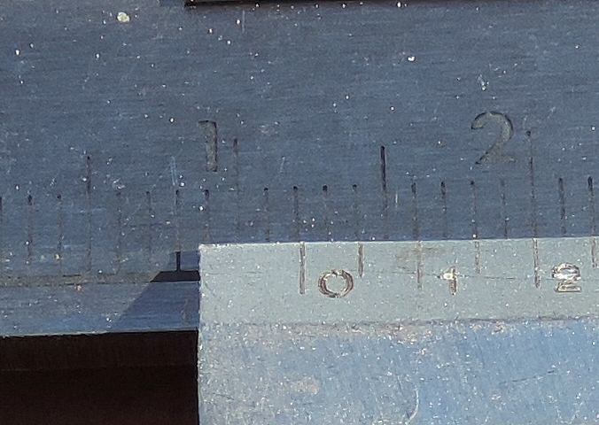 Diameter measurement for the tiny fig attacked by Silba adipata McAlpine: 1.2 cm.
