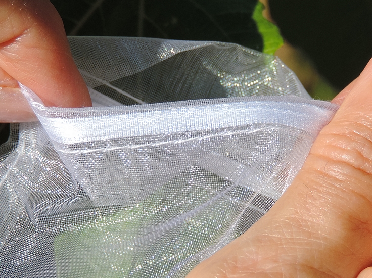 Organza bag with collar turned inside on one side only.